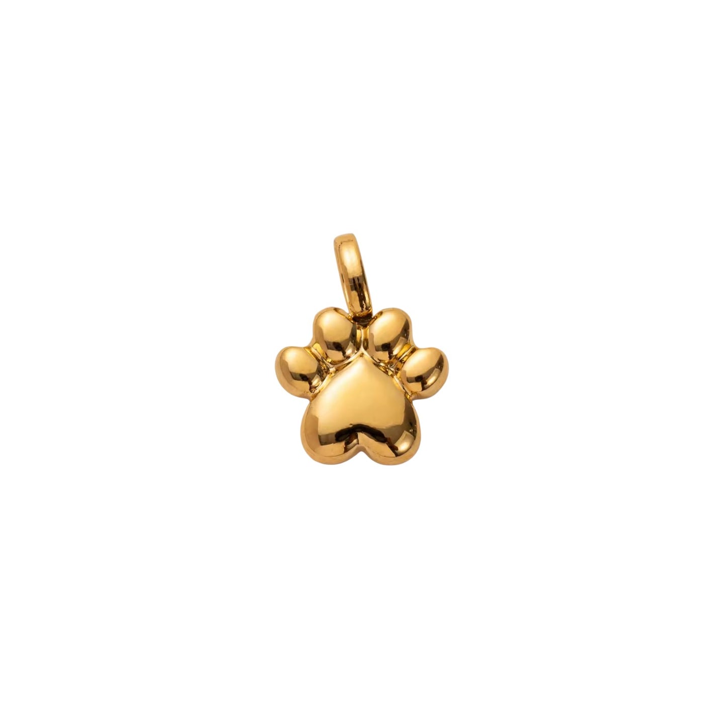Paw Charm