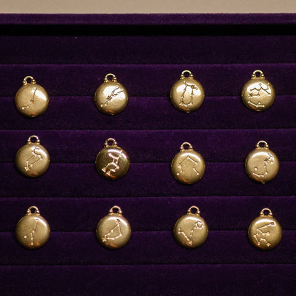 Zodiac Charms