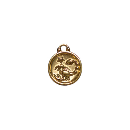 Zodiac Charms